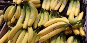 وزارة التجارة تمنح وثائق التوطين البنكي لمستوردي الموز في انتظار إنشاء هيئة الاستيراد الجديدة