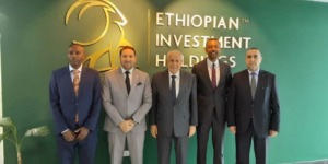 سوناطراك وسونلغاز تبحثان فرص الاستثمار والتعاون مع إثيوبيا