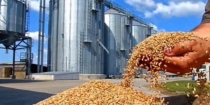 الجلفة.. بلدية عين الإبل تستفيد من مشروع مركز جواري لتخزين الحبوب