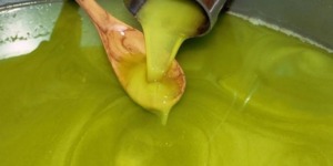 تيزي وزو.. إطلاق أول دورة تكوينية في تذوق زيت الزيتون