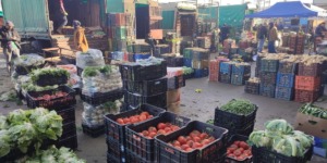 ابتداء من الأسبوع الجاري.. فضاءات مجانية للفلاحين داخل أسواق الجملة الجهوية لتسويق منتجاتهم