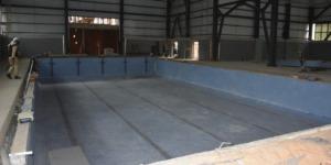 مسبحان جواريان في الأفق بعين تموشنت