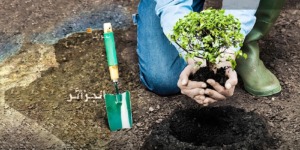 حملة غرس مليون شجرة تعد مبادرة جد إيجابية