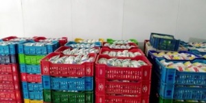 ملبنة “سيفار” بإيليزي ترفع طاقتها الإنتاجية 