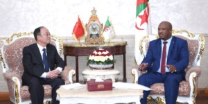 الجزائر والصين تبحثان سبل تعزيز التعاون البرلماني وتبادل الخبرات الثقافية والعلمية