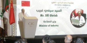 الجزائر ترسم موقعها كقوة استثمارية ناشئة في إفريقيا والمتوسط