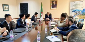 شركة “لونجي” الصينية تبدي اهتمامها بتجسيد مشروع لصناعة الألواح الشمسية ببلادنا