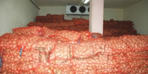 تلمسان.. فتح غرفتي تبريد لتخزين مادتي البطاطا و البصل