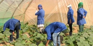 توقرت.. برنامج تكويني متنوع لفائدة الفلاحين خلال الشهر الجاري 