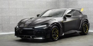 مانسوري Pugnator