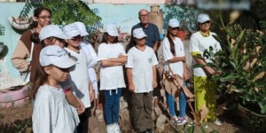 معسكر.. توزيع تجهيزات بيداغوجية لفائدة 45 ناديا بيئيا