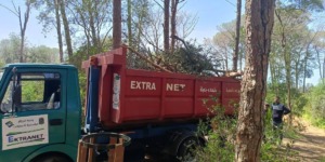 اعمال حراجية بغابتي خالدي حسين و بوشاوي تحسبا لموسم الاصطياف