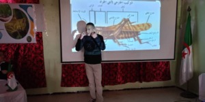 إجراءات احترازية لمجابهة الجراد الصحراوي بتبسة