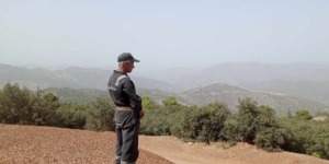 معالجة ملفات توظيف الأعوان الموسميين لمكافحة حرائق الغابات ببومرداس