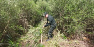 فتح المسالك الرياضية تحضيرا لمهرجان الجزائر للرياضات