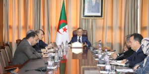 وزارة التعليم العالي ترسم ملامح التحول الرقمي والانفتاح الدولي