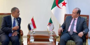 سيفي غريب يستقبل وزير الخارجية والهجرة وشؤون المصريين بالخارج