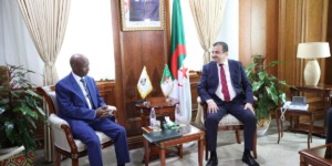 عرقاب يبحث سبل تعزيز التعاون مع المنظمة الإفريقية للبلدان المنتجة للنفط