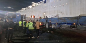 عيد الأضحى: وصول باخرة محملة بـ31 ألف رأس غنم قادمة من رومانيا إلى ميناء وهران