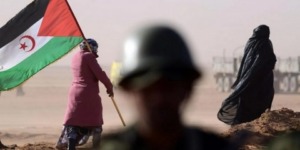 الشبكة الارجنتينية للإعلاميين من اجل تصفية الاستعمار تستنكر الحملة المضللة لنظام الاحتلال المغربي