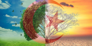 غرداية.. مشاركة قوية في دورة تكوينية حول مواجهة آثار التغيرات المناخية