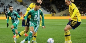 بيترسون المدير الرياضي لمنتخب السويد: نسعى للحصول على الدعم الجماهيري أمام الجزائر