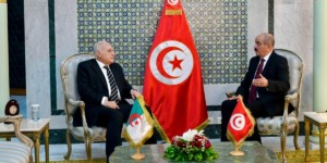 عطاف يجري محادثات مع نظيره التونسي