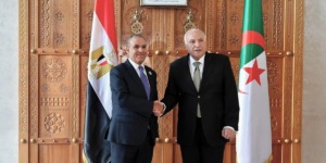 عطاف يتحادث مع نظيره المصري