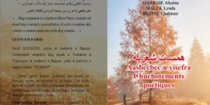 “همسات شعرية”… ديوان شعري تضامني في المكتبات