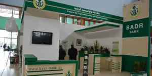 بوراي: نحو اقتصاد متنوع وشمول مالي في 2025