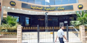 بنك التنمية المحلية: ارتفاع الناتج الصافي بـ 31 بالمائة إلى نحو 23 مليار دج في سنة 2024