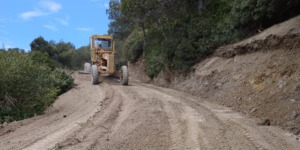 تيسمسيلت.. إنجاز وتهيئة 28 كلم من المسالك الغابية 