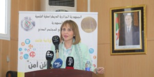 نحو تنظيم جامعة صيفية للجمعيات الناشطة بولايات الجنوب الكبير