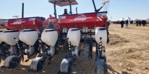 انطلاق حملة زراعة نبات دوار الشمس ببلدية بريزينة