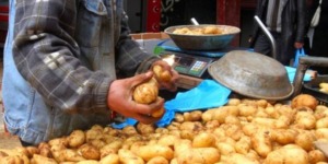 أسعار البطاطا لا تتعدى الـ 80 دينارا للكيلو غرام الواحد بالمسيلة