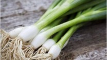 البصل الأخضر.. فوائد لامتناهية لصحة الجسم