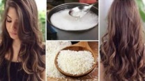 دراسات علمية توضح فوائد ماء الأرز للشعر