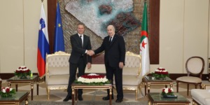 تعميق التشاور السياسي حول التعاون الثنائي والقضايا الإقليمية والدولية