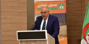 بن حبيلس يبرز جهود الحكومة في التأمين الفلاحي وتبسيط إجراءات الانخراط