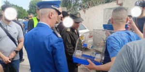 محافظة الغابات ببومرداس تحذر من الصيد العشوائي و الاتجار بالحيوانات البرية