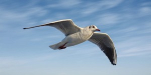 صنع الله الذي أتقن كلّ شيء