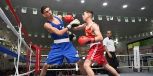 البطولة الوطنية للملاكمة.. الانطلاقة الخميس بمشاركة قياسية