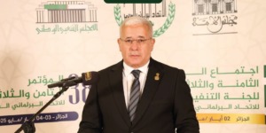 بوغالي يدعو البرلمانات العربية إلى بذل ما في وسعها لحماية مصالح الأمة العربية