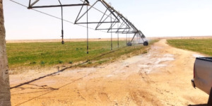 المنيعة.. نحو إنجاز أزيد من 220 كلم من المسالك الفلاحية