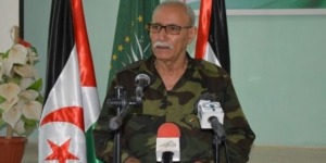 رئيس الجمهورية الصحراوية: التشبث بالوحدة الوطنية أفشل دسائس العدو ومخططاته للقضاء على وجودنا