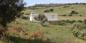 3000 مستفيد من إعانة للبناء الريفي بالبليدة