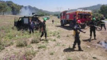 البليدة: مناورة ميدانية تحاكي حريق غابة بجبال الشريعة
