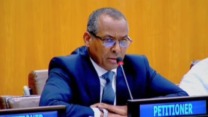 ممثل الجبهة بالأمم المتحدة: الشعب الصحراوي سيواصل كفاحه بكل الوسائل المشروعة