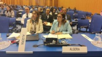 التزام جزائري متجدد بمكافحة الفساد في المحافل الدولية
