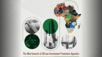 معرض التجارة البينية الإفريقية: تنظيم قمة وكالات ترقية الاستثمار الإفريقية الجمعة المقبل بالجزائر العاصمة